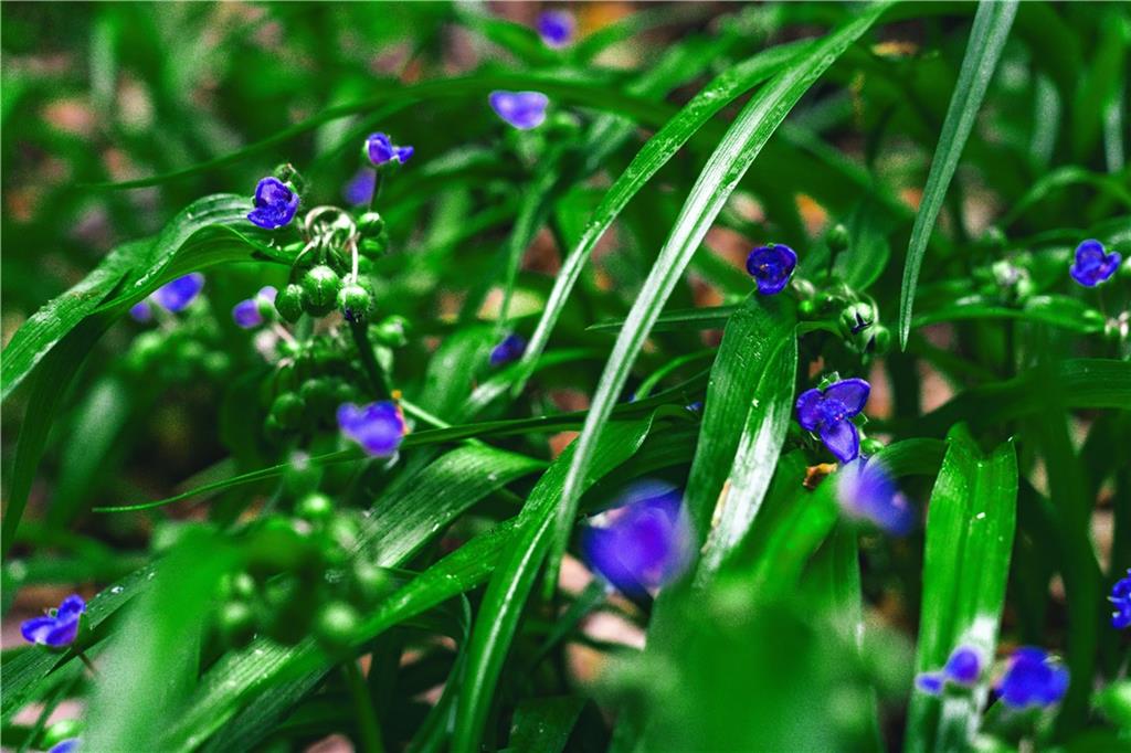 393 The Falls Court NE