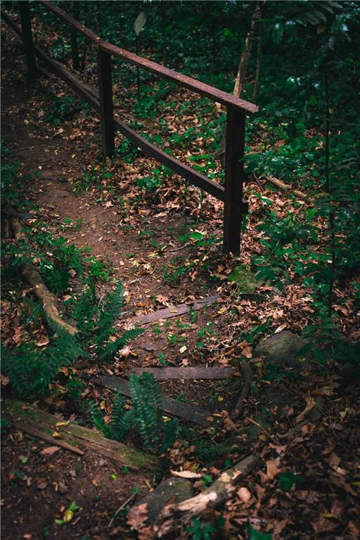 393 The Falls Court NE