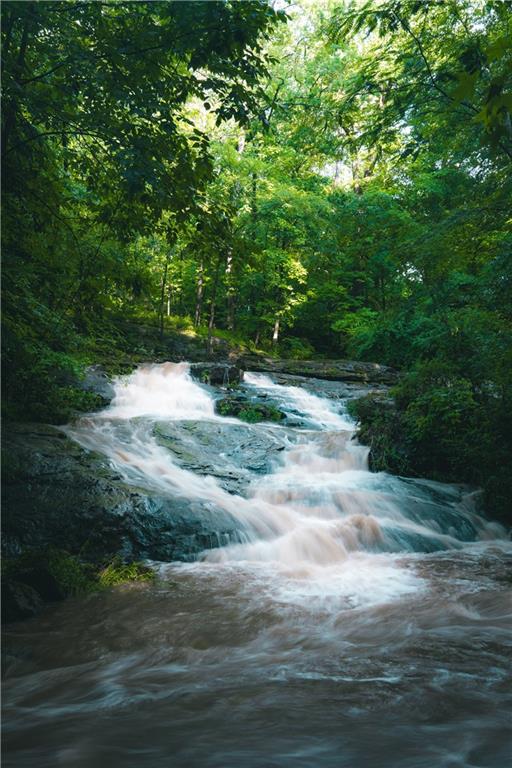 393 The Falls Court NE