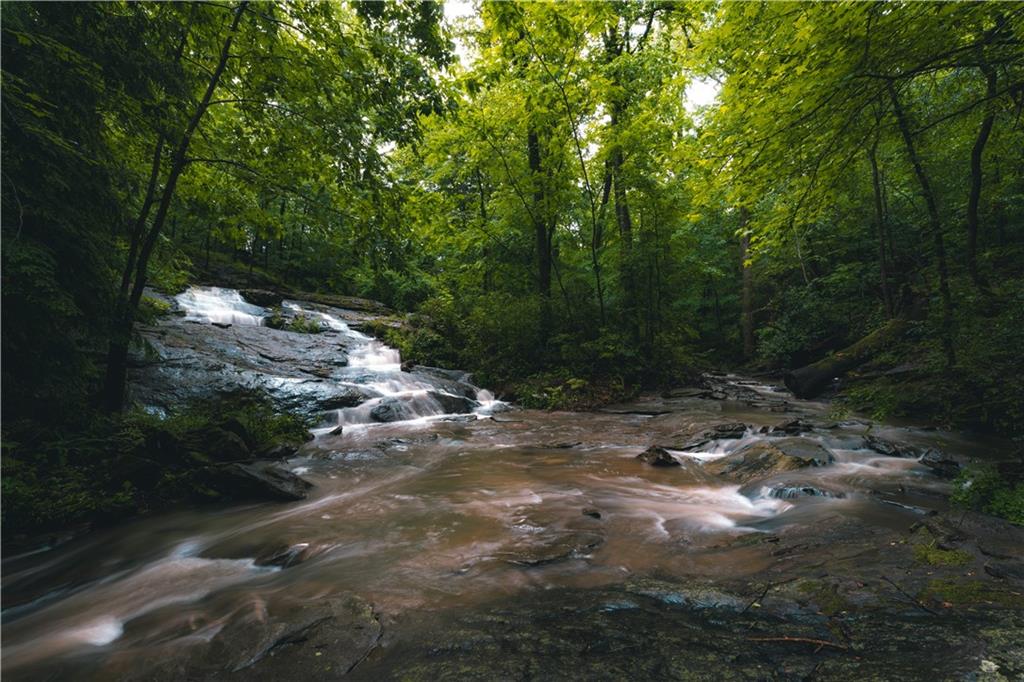 393 The Falls Court NE