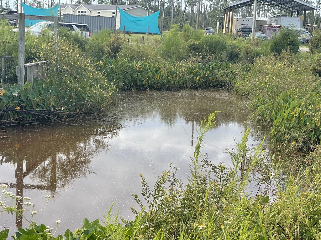 Property pond bordered by dense vegetation, with houses and a carport beyond.