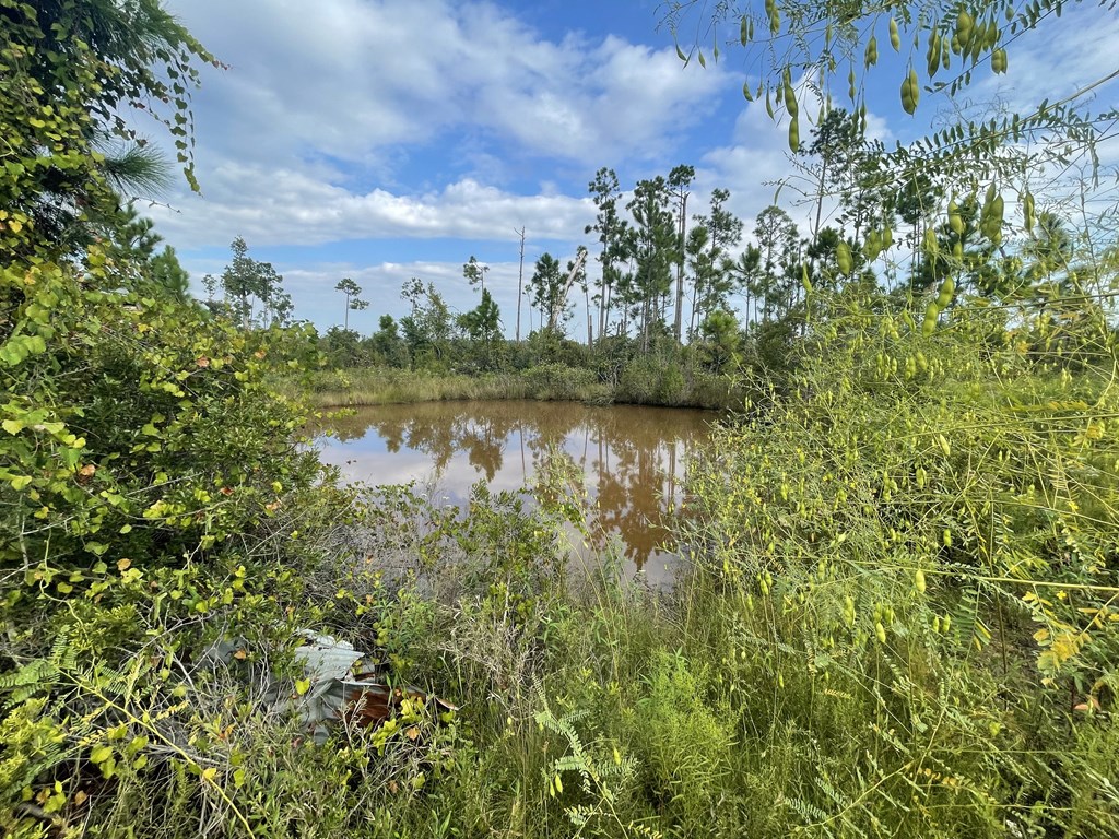Wooded property with a small pond reflecting trees beneath a partly cloudy sky.