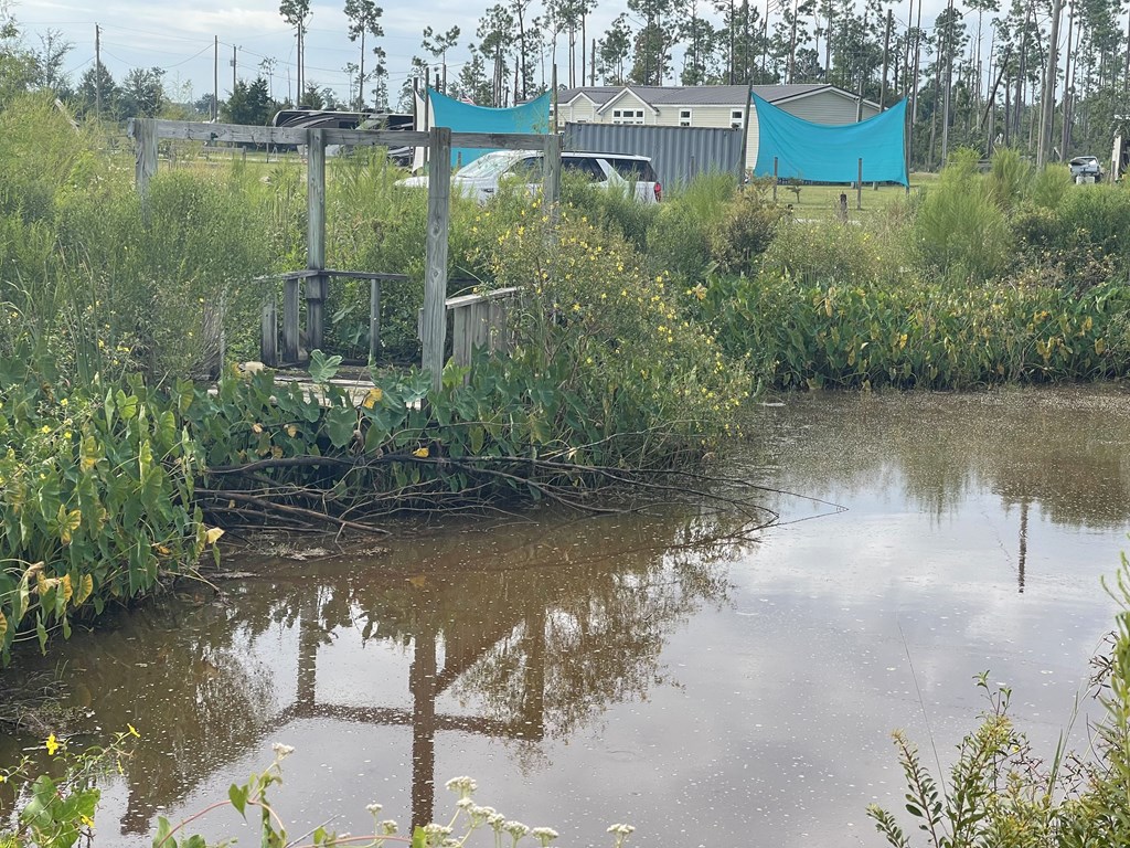 Pond edged with wildflowers and vegetation, with a wooden structure and pine-backed house beyond.
