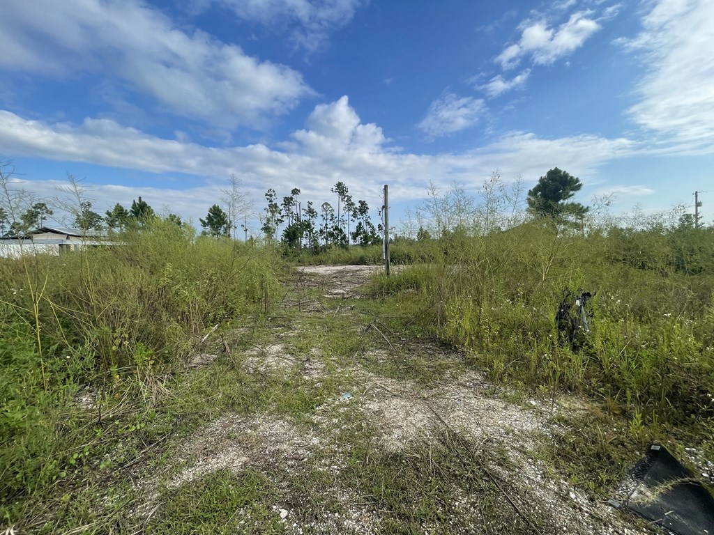 Overgrown vacant lot with a sandy clearing, utility poles, and scattered trees.