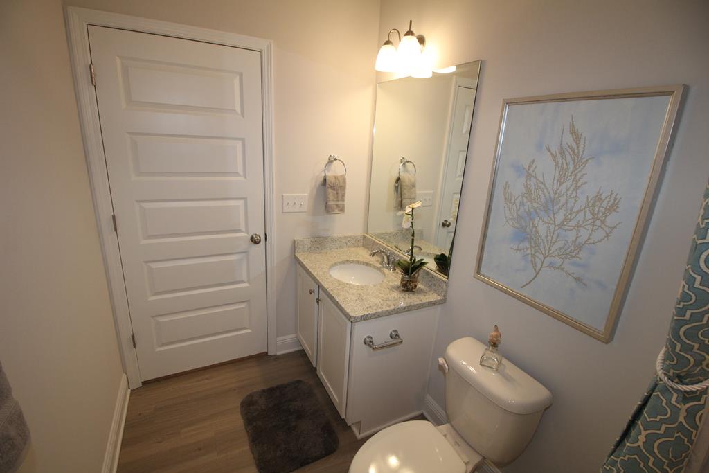 Bathroom with a stone-topped vanity, large mirror, toilet, and framed coral artwork.
