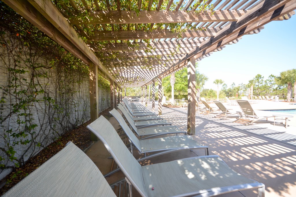 Poolside patio with lounge chairs beneath a wooden pergola beside a vine-covered wall.