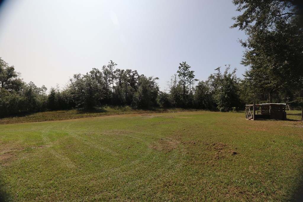 Cleared grassy lot bordered by mature trees, with a small fenced enclosure on the right.