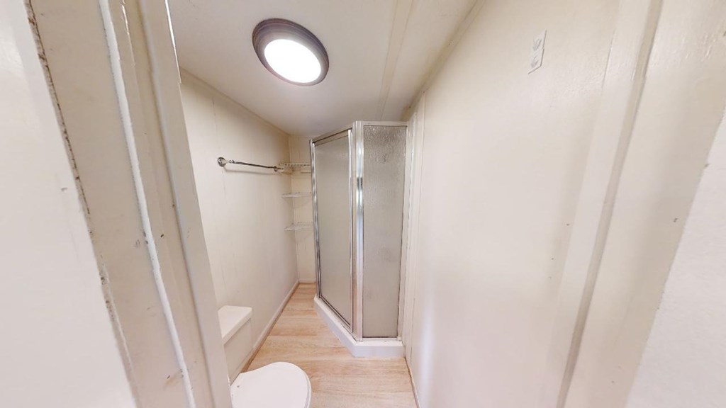 Narrow bathroom with a corner glass shower, toilet, and wood-look flooring.