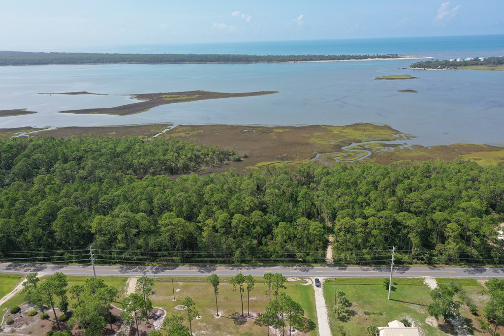 Aerial view of coastal woods, marshland, and bay, with a road along the foreground.