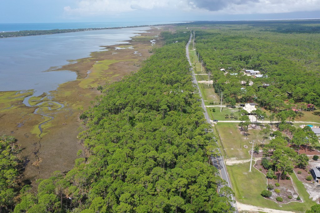 Aerial view of wooded land beside coastal marsh, water, a road, and scattered homes.