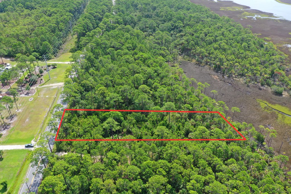 Aerial view of a wooded parcel outlined in red beside a road and marsh.
