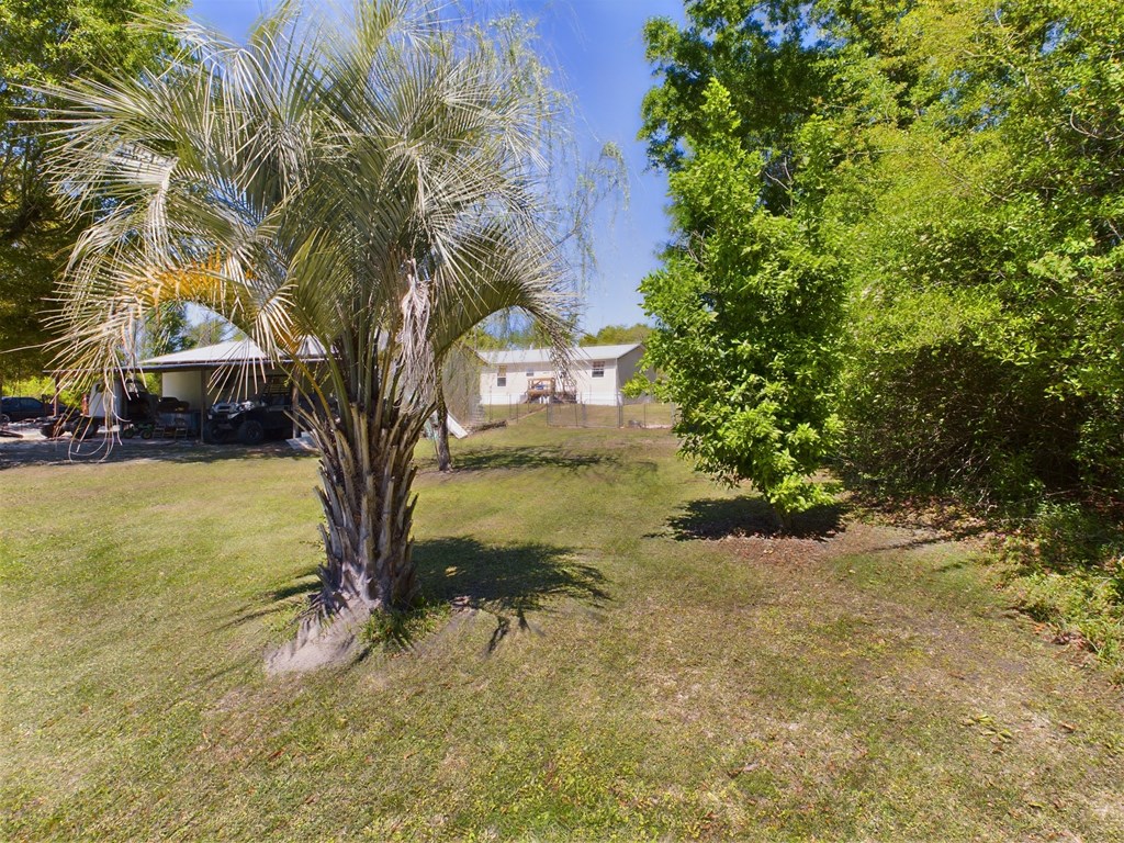 Grassy yard with a palm tree, leafy trees, covered carport, and white single-story home.