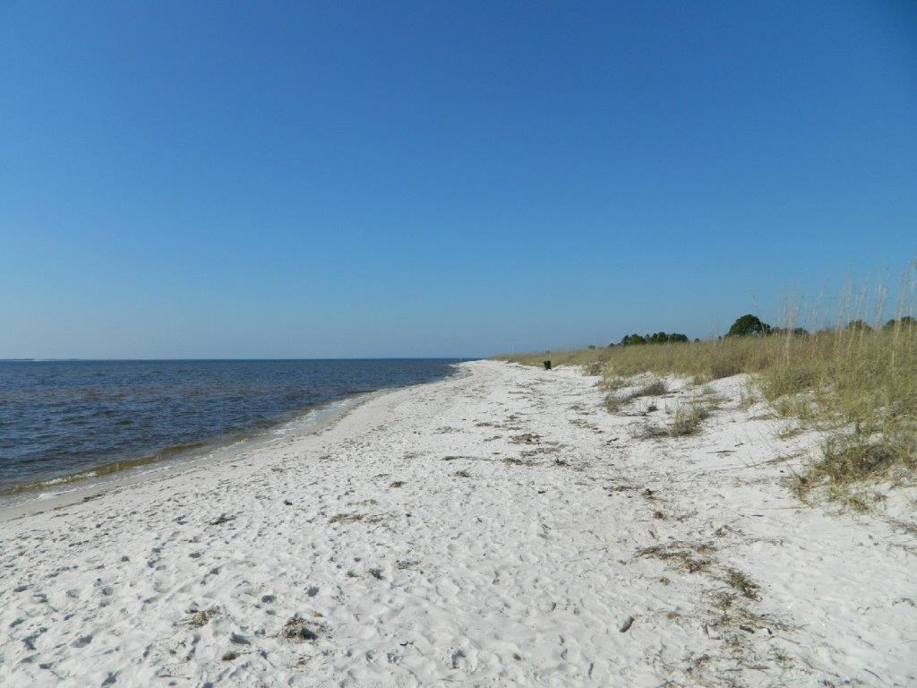 Sandy beach curves beside calm water, with dune grasses along the shore.