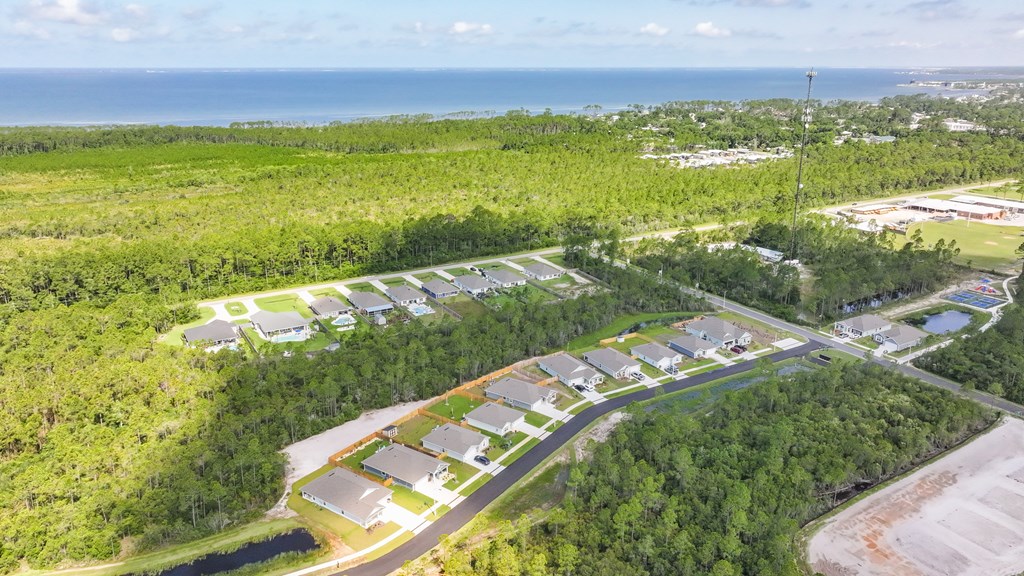 Aerial neighborhood view with homes among green woodland and the ocean on the horizon.