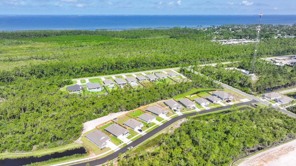 Aerial view of coastal homes beside green woodland, with the Gulf of Mexico in the distance.