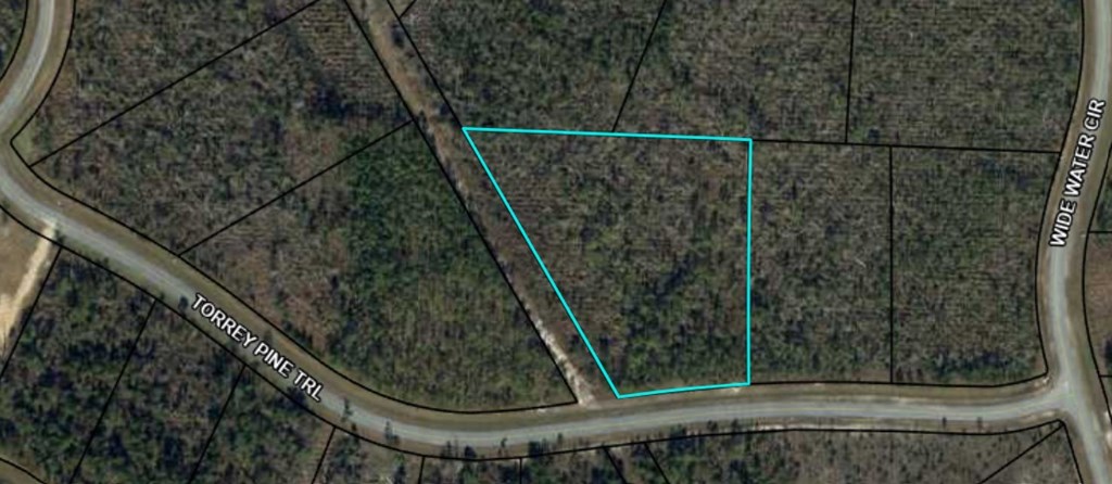 105 Torrey Pine Trl, 32465