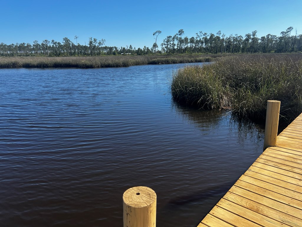105 Torrey Pine Trl, 32465
