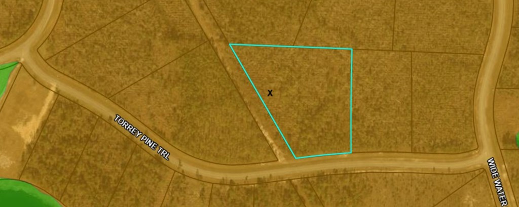 105 Torrey Pine Trl, 32465