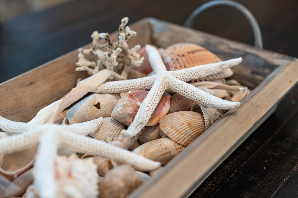 3050 Hwy 98 # B45, Port St. Joe 32456 Unit: B45