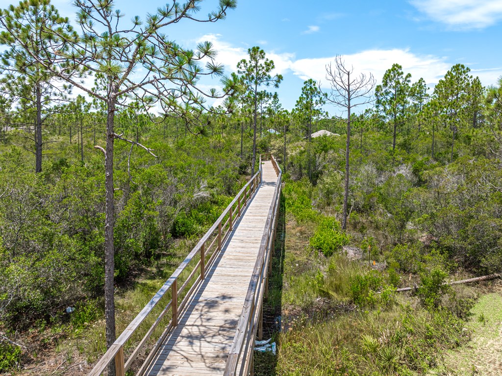 292 Cove Lane, Port St. Joe 32456