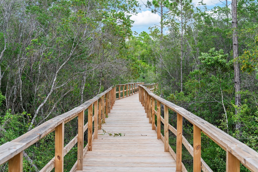 292 Cove Lane, Port St. Joe 32456