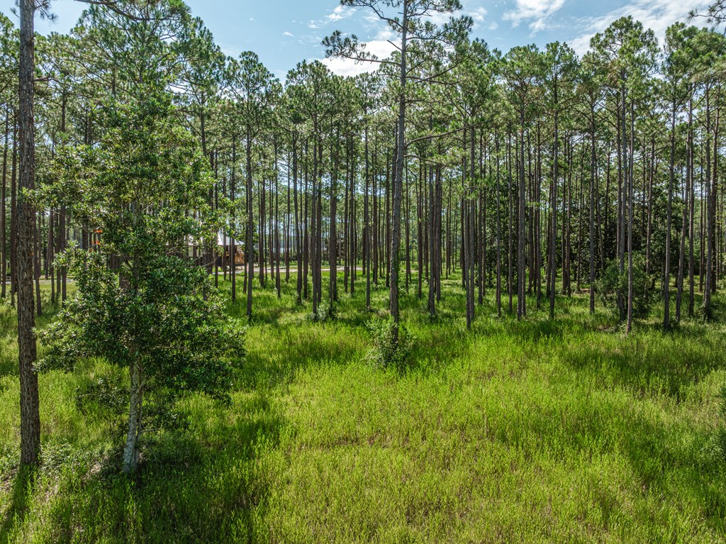 8405 Deepwater Creek Ln, 32413