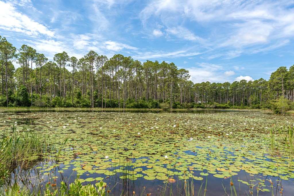 8405 Deepwater Creek Ln, 32413