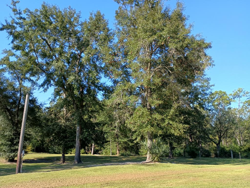1220 Stone Mill Creek Rd, 32465