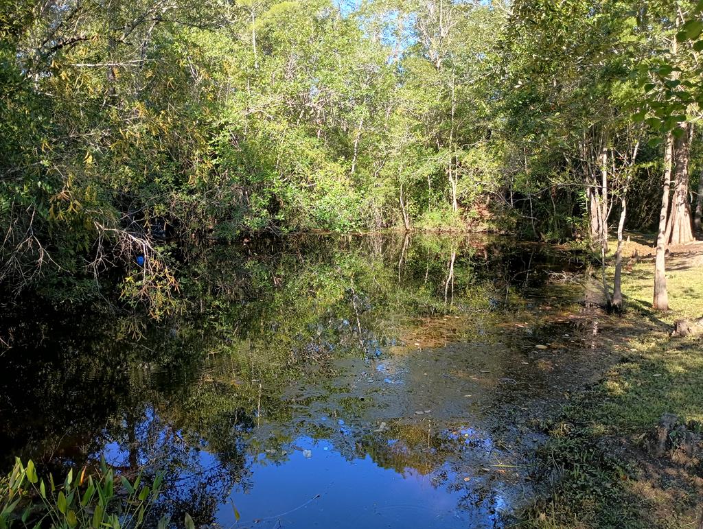1220 Stone Mill Creek Rd, 32465