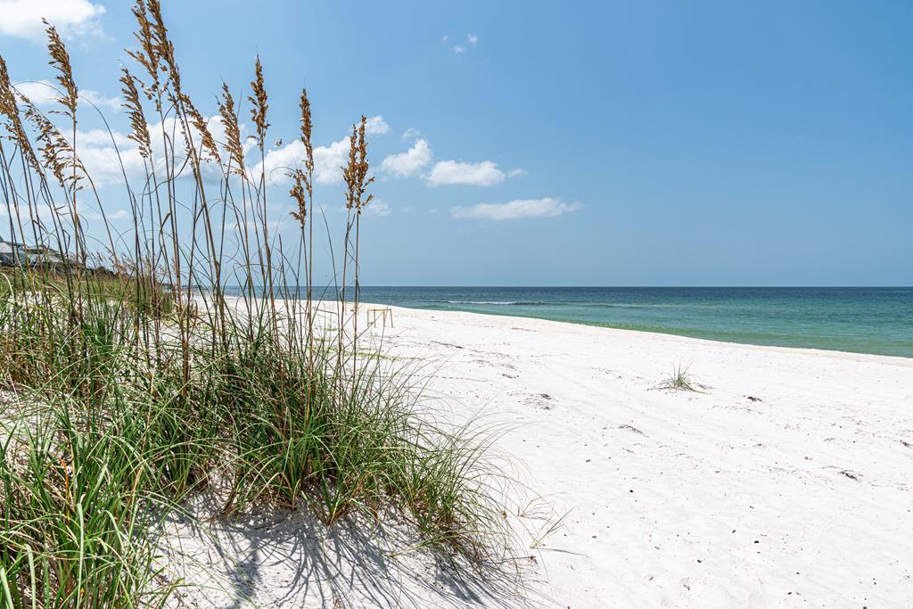 190 Heron Ct, Port St. Joe 32456
