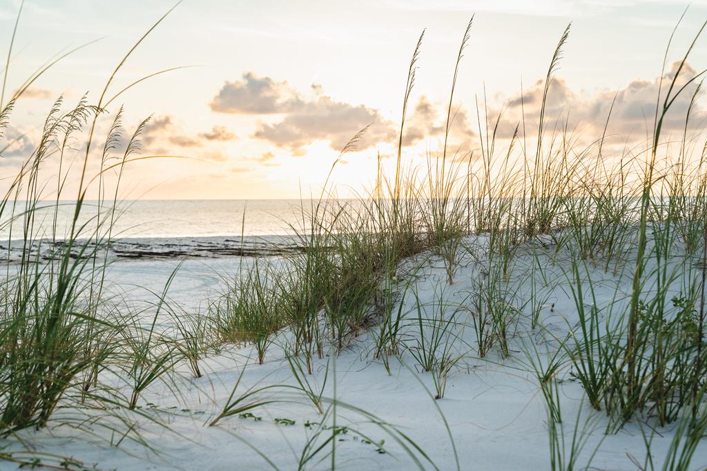 139 Lantana St, 32456