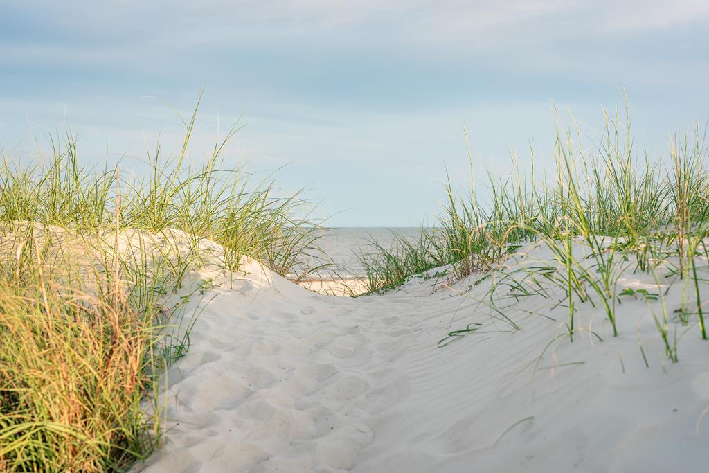 139 Lantana St, 32456