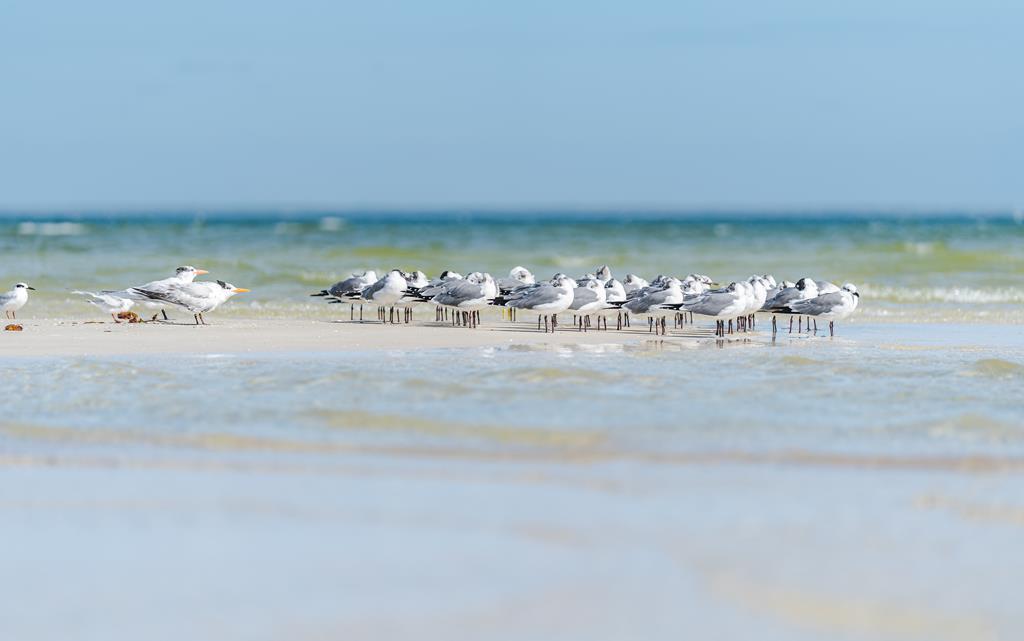 139 Lantana St, 32456