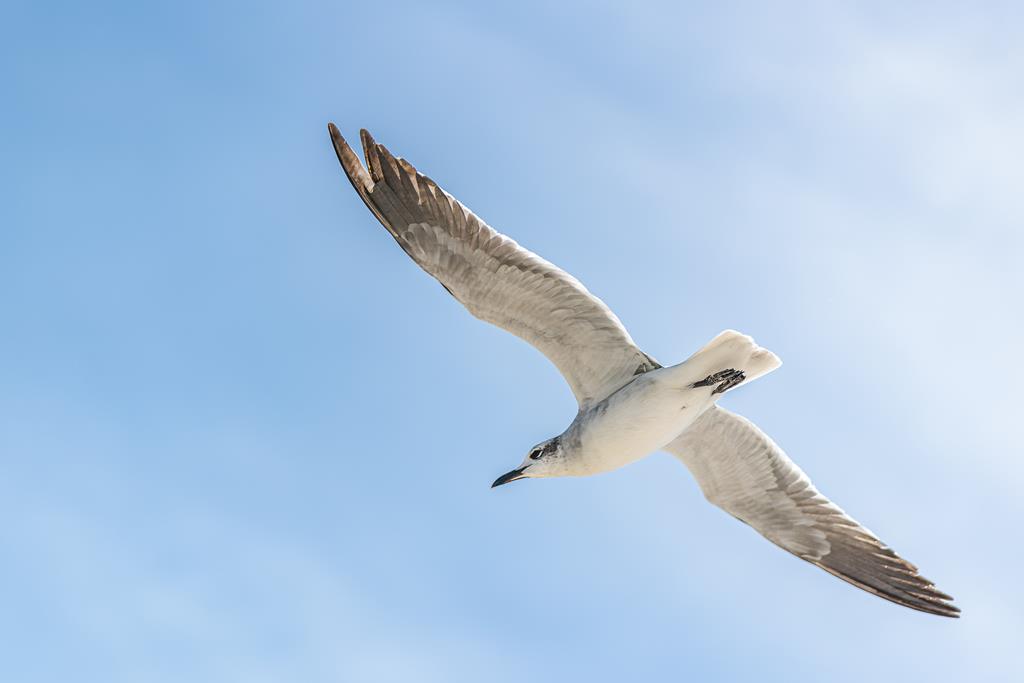 139 Lantana St, 32456