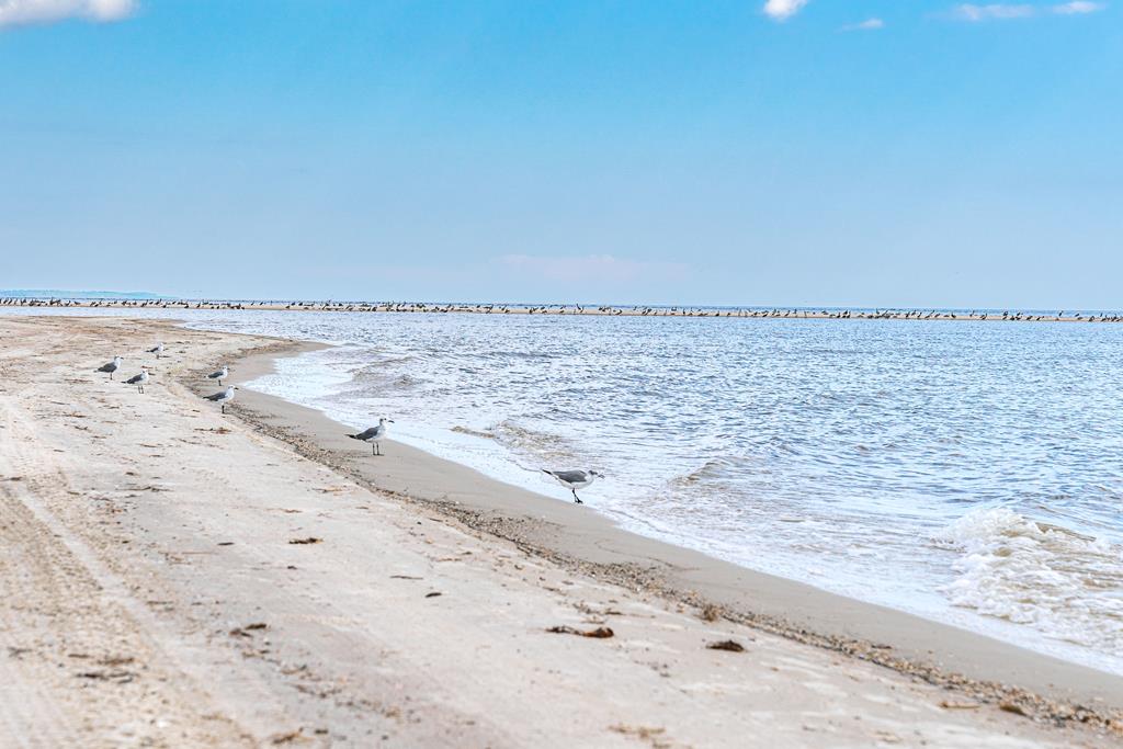 139 Lantana St, 32456