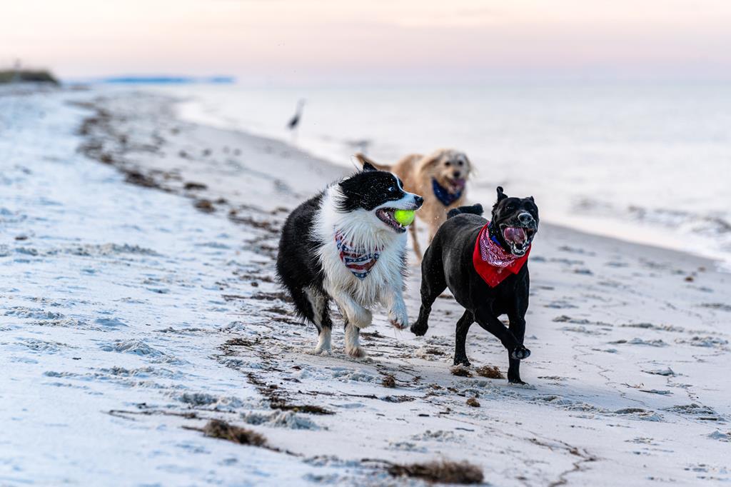 1120 15th St # f, 32456 Unit: 1-f