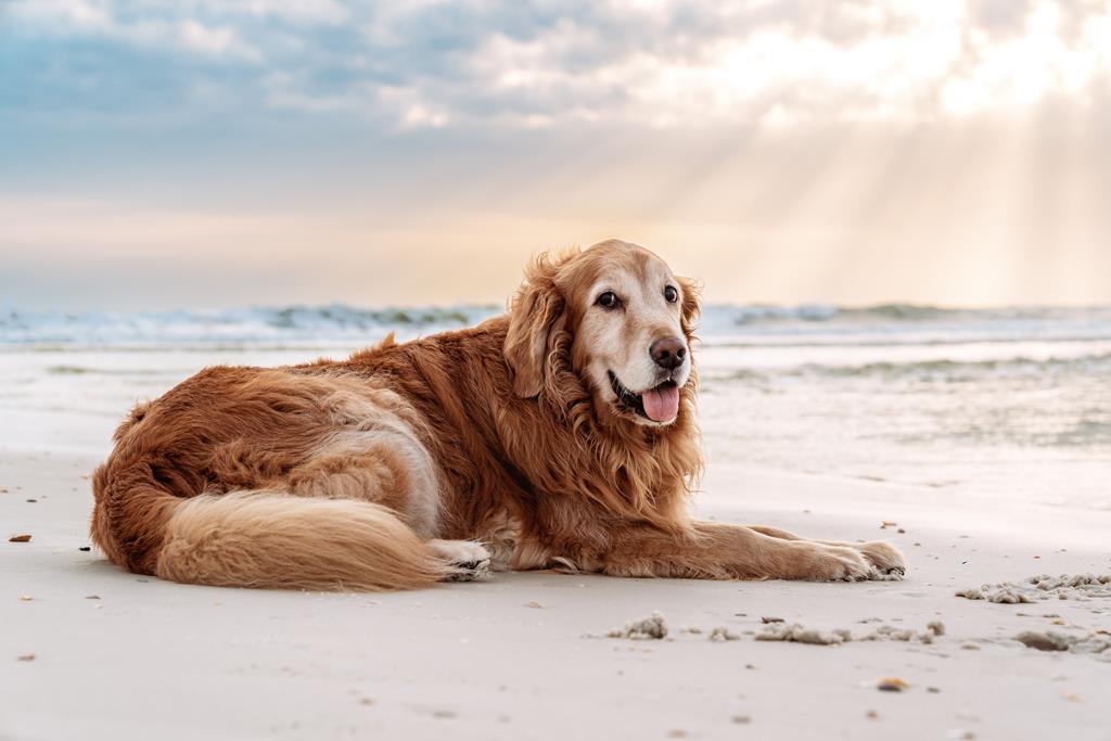 870 Backwater Rd, Port St. Joe 32456