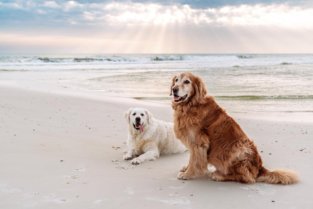 788 Backwater Rd, Port St. Joe 32456