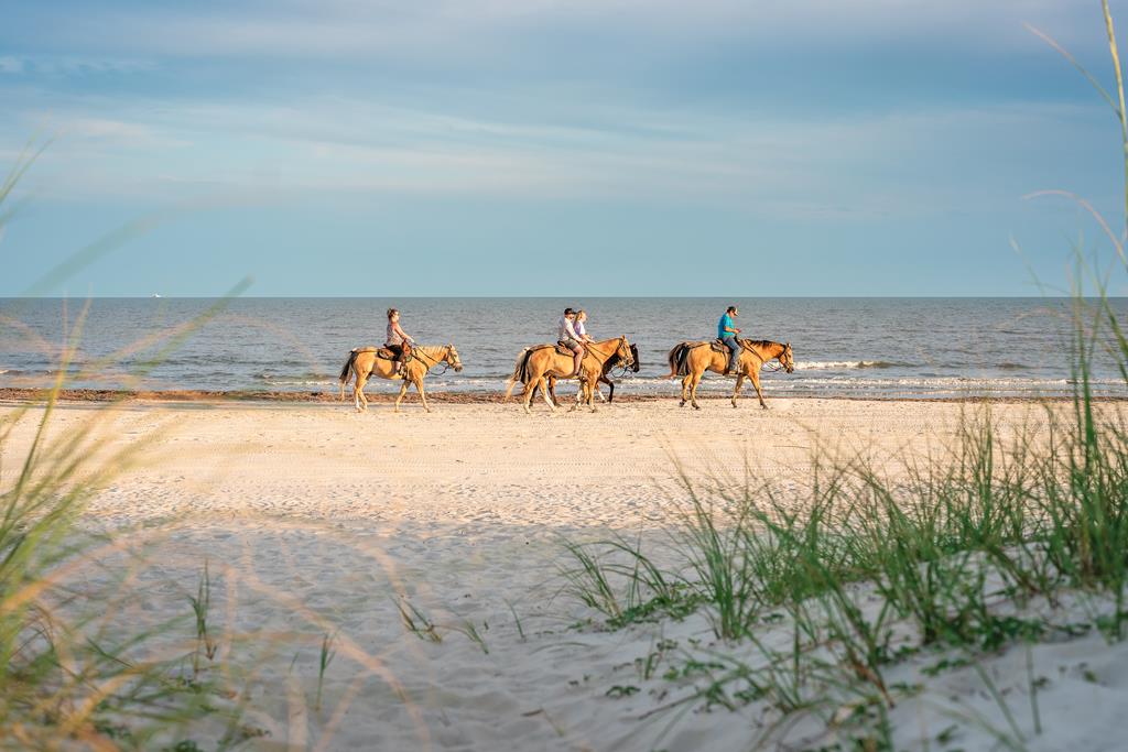 788 Backwater Rd, Port St. Joe 32456