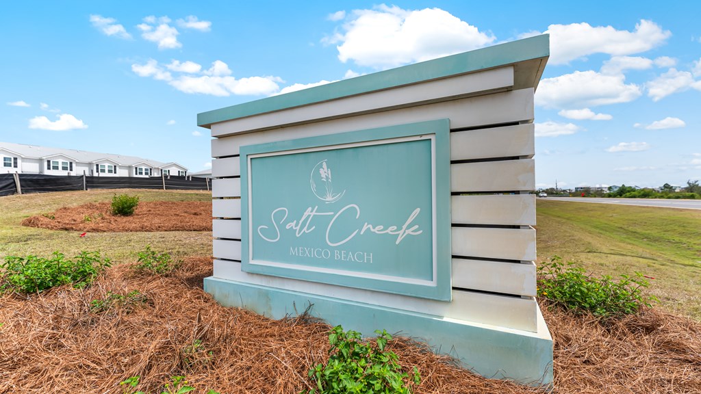 380 Salt Creek Ln, 32456