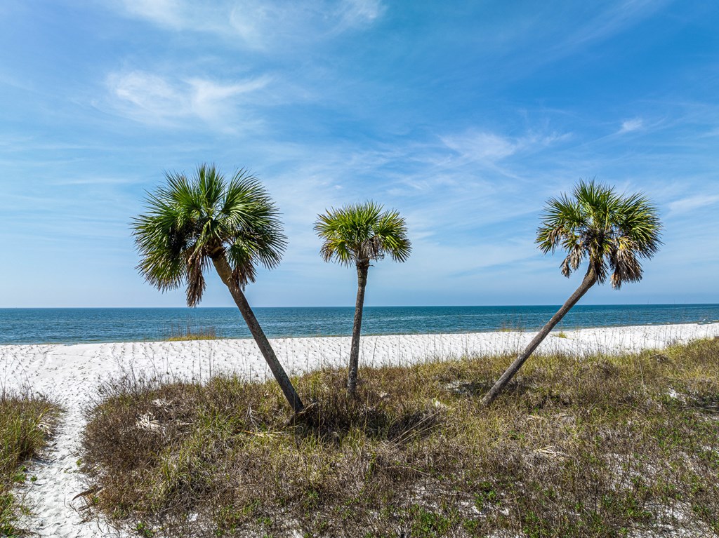 380 Salt Creek Ln, 32456