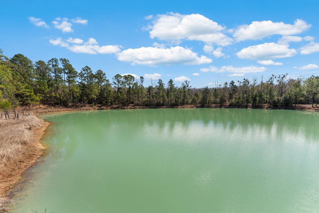 250 Blake Dr, 32465