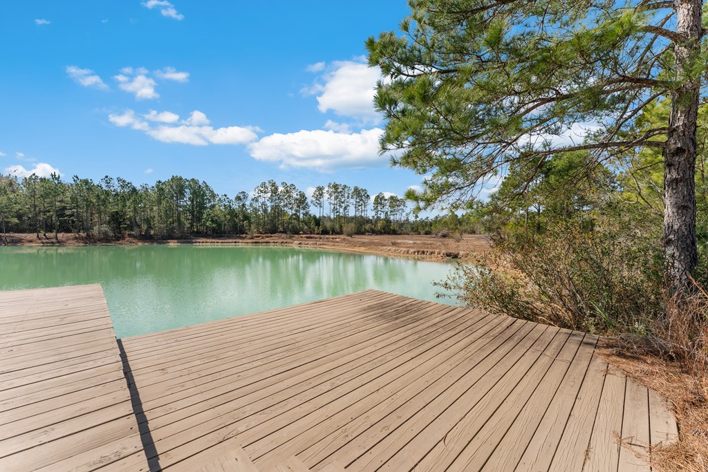 250 Blake Dr, 32465
