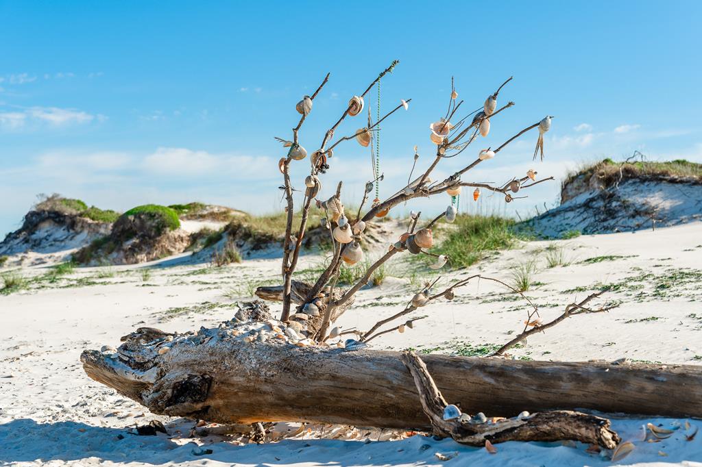 159 Breeze Lane, Port St. Joe 32456