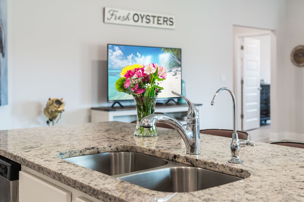 153 Vermilion Cir, Port St. Joe 32456