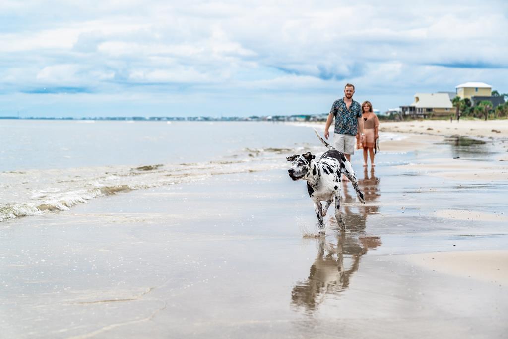 937 Backwater Rd, Port St. Joe 32456