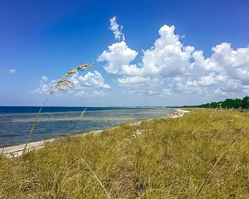 170 Heron Ct, Port St. Joe 32456