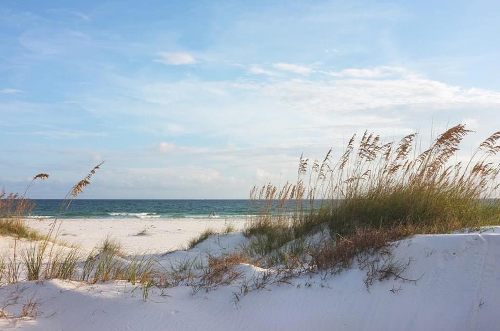123 Selma St, Port St. Joe 32456