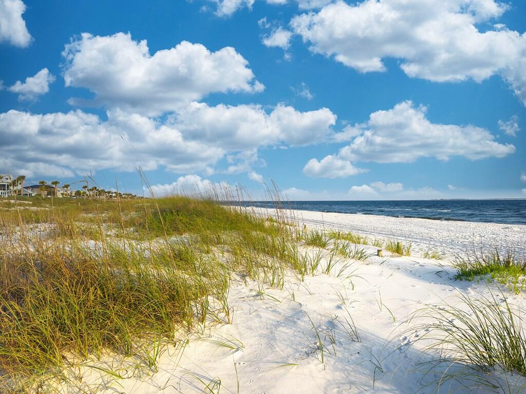 123 Selma St, Port St. Joe 32456