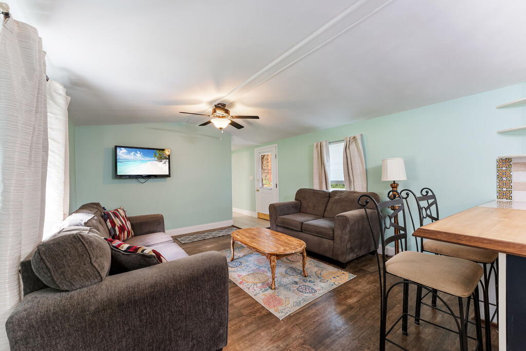 Living and dining area with brown sofas, mint-green walls, and a patterned rug.